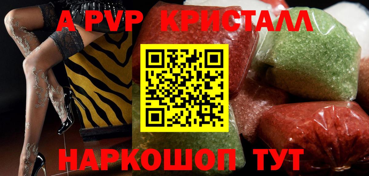 Alfa_PVP СК КРИС Урус-Мартан