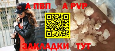 сатива Малгобек