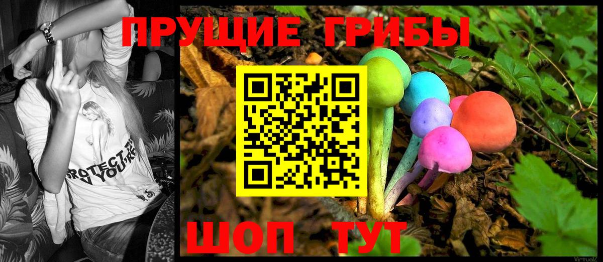 Псилоцибиновые грибы Psilocybe Урус-Мартан