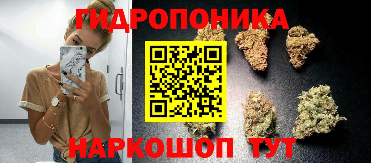 Урус-Мартан  Бошки Шишки SATIVA & INDICA  Вход с VPN  МАРИХУАНА индика 